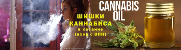 молекула духа Приозерск